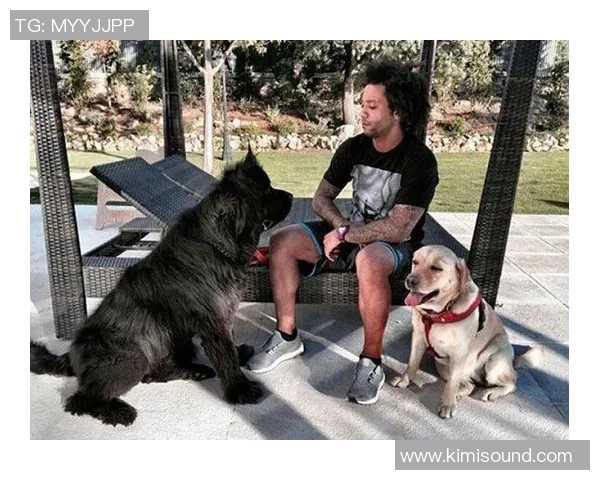 韩国狗狗足球明星的名字与他们的精彩故事分享